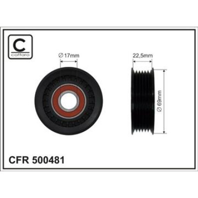 CFR 500481