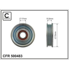 CFR 500483 CFR 500483