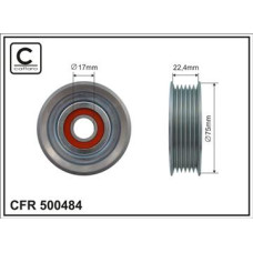 CFR 500484 CFR 500484