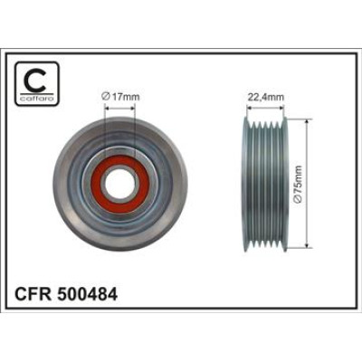 CFR 500484 CFR 500484