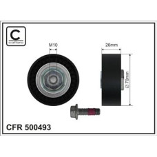 CFR 500493 CFR 500493