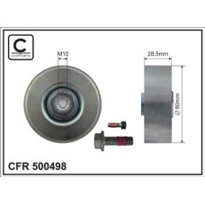CFR 500498 CFR 500498