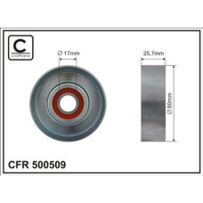 CFR 500509