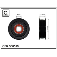 CFR 500519 CFR 500519