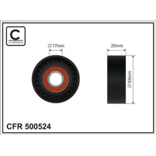CFR 500524 CFR 500524