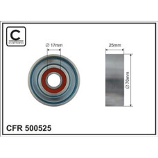 CFR 500525 CFR 500525