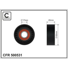 CFR 500531 CFR 500531