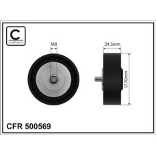 CFR 500569