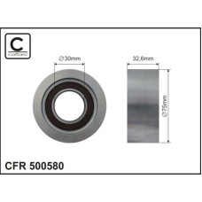 CFR 500580 CFR 500580