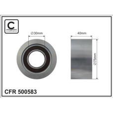 CFR 500583 CFR 500583