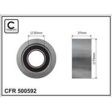 CFR 500592 CFR 500592