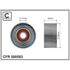 CFR 500593 CFR 500593