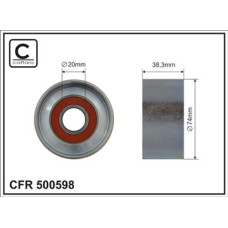 CFR 500598 CFR 500598
