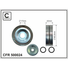 CFR 500024 CFR 500024