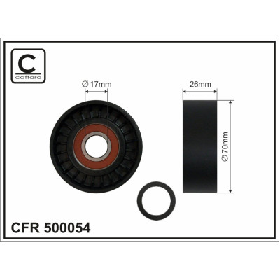 CFR 500054 CFR 500054