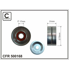 CFR 500168 CFR 500168