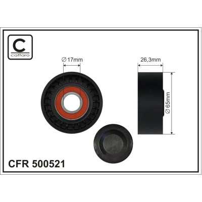 CFR 500521 CFR 500521